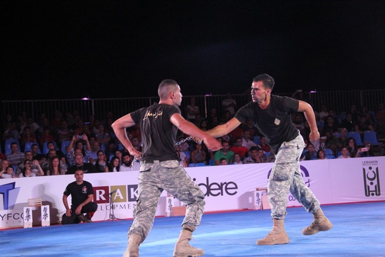 Martial Arts Festival